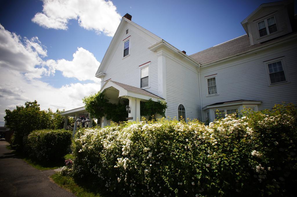 Inn On Frederick St. Andrews By The Sea Buitenkant foto